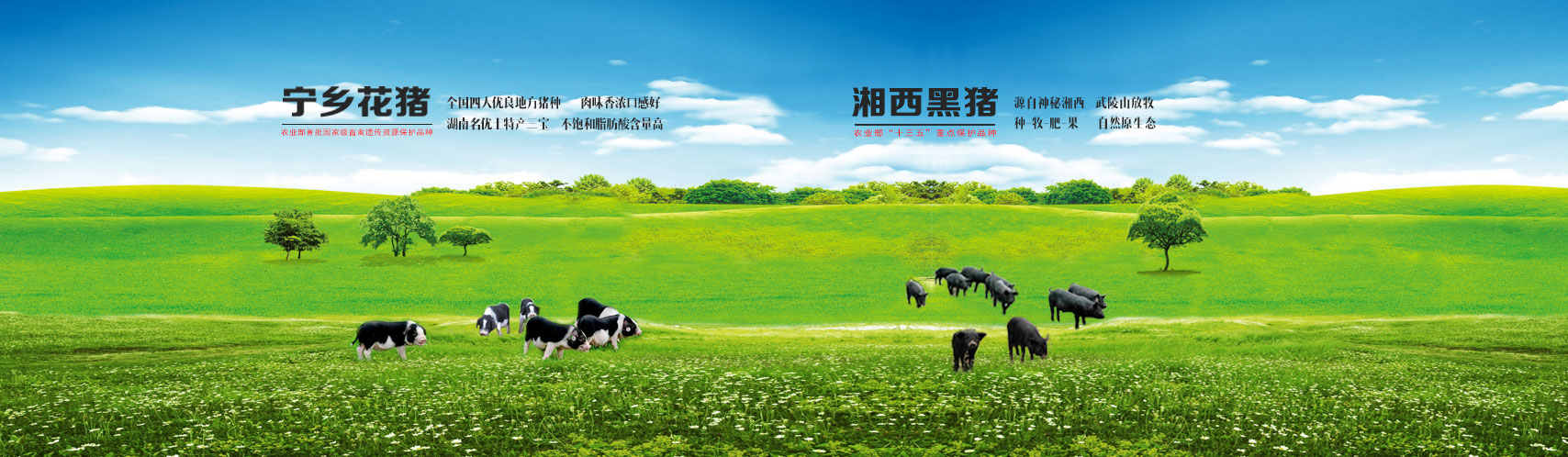 欧博ABG·(中国)集团首页